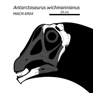 <i>Antarctosaurus</i> Sauropod dinosaur genus from Late Cretaceous