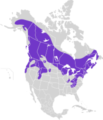 Mapa występowania