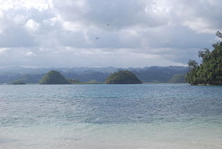 <span class="mw-page-title-main">San Agustin, Surigao del Sur</span> Municipality in Surigao del Sur, Philippines