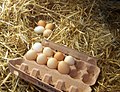 Freerange eggs