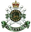 Cap Badge of the Grey and Simcoe Foresters