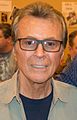 James Darren, interprete di Vic Fontaine