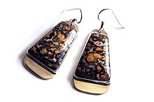 Earrings of polished "leopard-spot jasper" (actually a type of spherulitic rhyolite) Jasper earrings.jpg