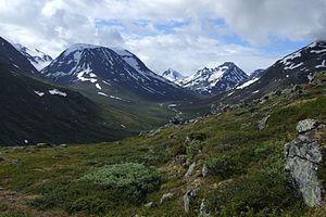 Visdalen valley with Visa river. Jotunheimen mountains, Norway