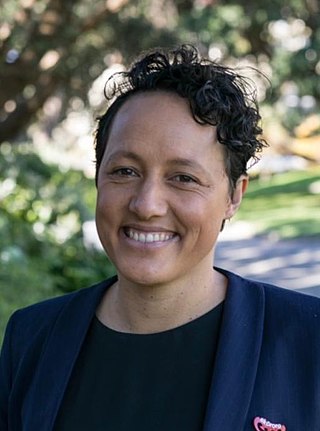 <span class="mw-page-title-main">Kiri Allan</span> New Zealand politician