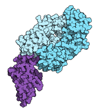 <span class="mw-page-title-main">Nivolumab</span> Cancer drug