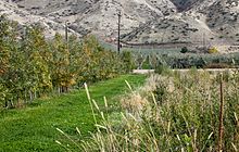 orondo apple orchard