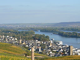 Vy över Rüdesheim