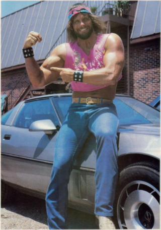 <span class="mw-page-title-main">Randy Savage</span> American professional wrestler (1952–2011)