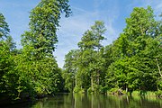 Hauptspree im Oberspreewald bei Leipe