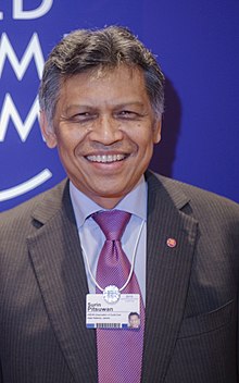 Surin Pitsuwan cropped.jpg