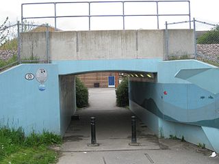 <span class="mw-page-title-main">Tickle Cock Bridge</span> Pedestrian underpass in Castleford, West Yorkshire, England