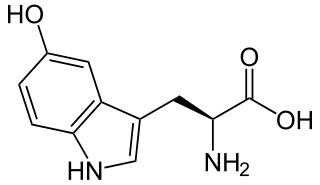 <span class="mw-page-title-main">5-Hydroxytryptophan</span> Chemical compound