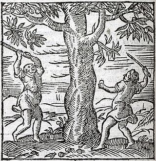 <span class="mw-page-title-main">The Walnut Tree</span> Aesops fable