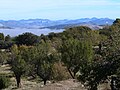 PN Sierra de María-Los Vélez