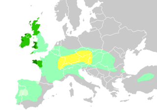 <span class="mw-page-title-main">Celts</span> Indo-European ethnolinguistic group