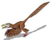 A Deinonychus rekonstrukciója.