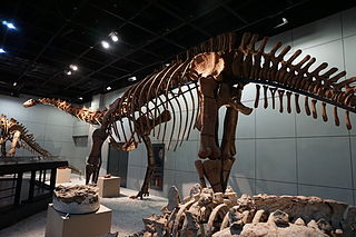 <i>Jiangshanosaurus</i> Extinct genus of dinosaurs