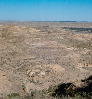 <span class="mw-page-title-main">Lance Formation</span> Geological formation in the United States