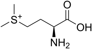 <i>S</i>-Methylmethionine Chemical compound