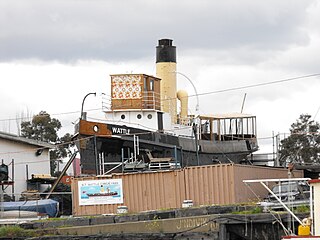 Steam Tug <i>Wattle</i>