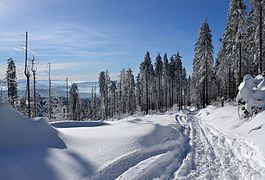 Silesian Beskids - hiking trial to Barania Góra peak