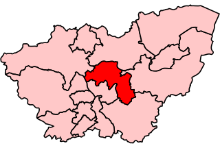 <span class="mw-page-title-main">Wentworth (UK Parliament constituency)</span> Parliamentary constituency in the United Kingdom, 1983–2010