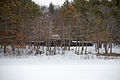 Don E. Lovness Studio & Cottage, Stillwater