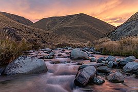 New Zealand