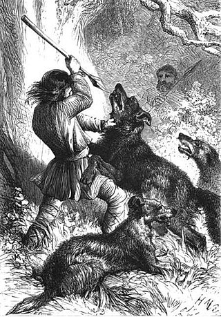 <span class="mw-page-title-main">Wolf hunting with dogs</span> Method of wolf hunting