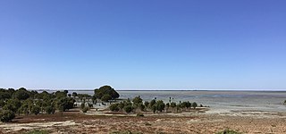 <span class="mw-page-title-main">Port Arthur, South Australia</span> Town in South Australia