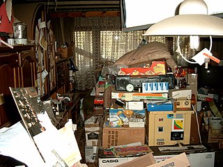 Compulsive hoarding Behavioral pattern