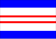 Vlag