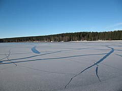 Greifenbachstauweiher im Winter