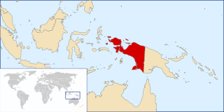 <span class="mw-page-title-main">Western New Guinea</span> Region of Indonesia on the island of New Guinea