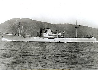 Italian auxiliary cruiser <i>Ramb III</i>