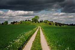 Vägen som leder fram mot kullen med båtgravarna.