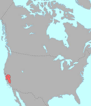 <span class="mw-page-title-main">Yok-Utian languages</span> Proposed language family of California