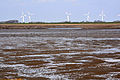 * Nomination: Mudflat near Dagebüll, Germany --Ralf Roletschek 10:53, 8 May 2013 (UTC) * * Review needed