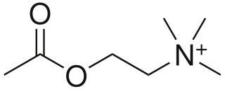 <span class="mw-page-title-main">Cholinergic blocking drug</span> Drug that block acetylcholine in synapses of cholinergic nervous system