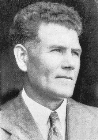 <span class="mw-page-title-main">Angus McLagan</span> New Zealand politician