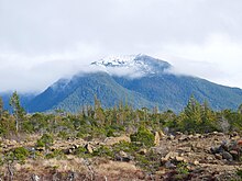 Annette Island landscape AnnetteIslandScenery.jpg