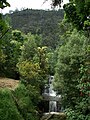 Río San Francisco en el cerro de Monserrate.