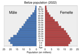 Pyramide des âges de Belize en 2022