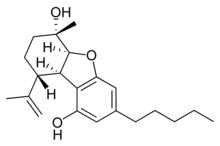 Cannabielsoin.png