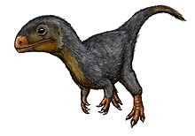 Daemonosaurus chauliodus.jpg