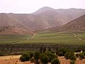 智利中北部的埃爾基谷（英语：Elqui Valley (wine region)）