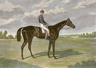 <span class="mw-page-title-main">Favonius (horse)</span> British-bred Thoroughbred racehorse