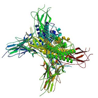 <span class="mw-page-title-main">Filgrastim</span> Medication