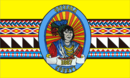 Drapeau de Comté d'Osceola (Osceola County)